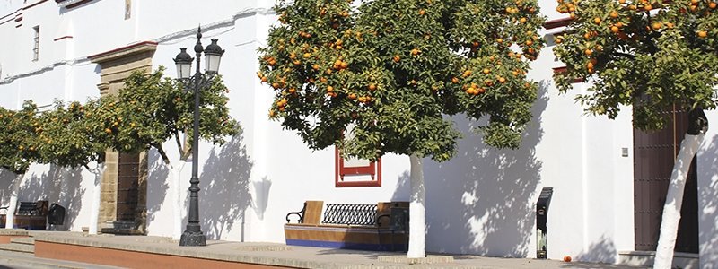 Convento de San Juan Bautista (M.M. Carmelitas)
