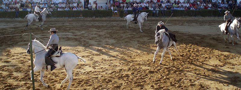 Pista Hípica "La Fuentecilla