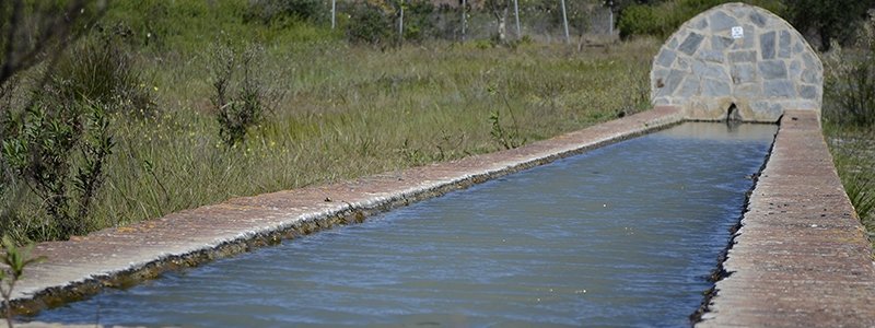 Pilar de la Huerta