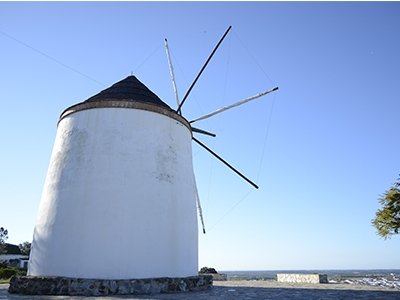 Molinos Harineros