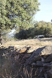 Cercados