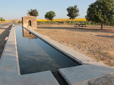 Pilar de la Media Legua