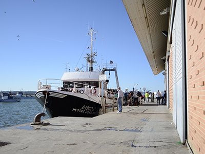 Puerto Pesquero